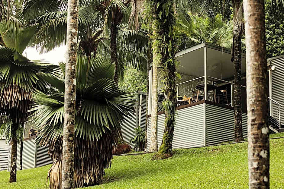 mist at Cape Tribulation