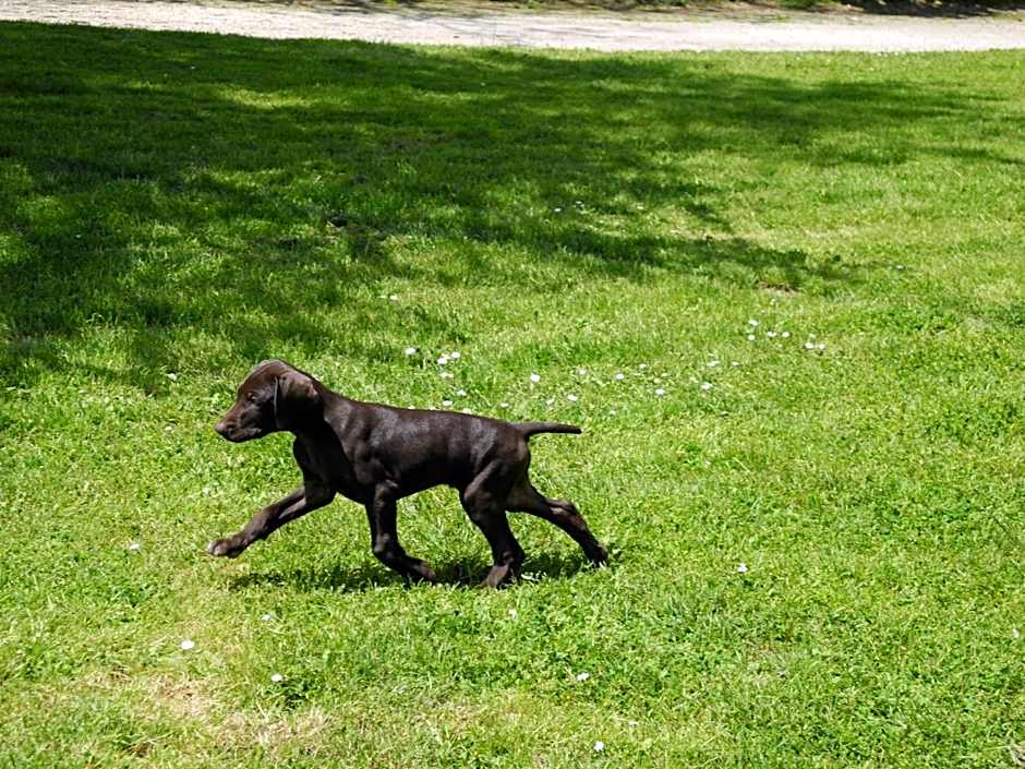 Logis Hôtel Restaurant La Citadelle