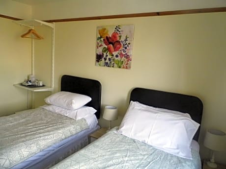 Twin Room with Shared Shower and Toilet No.9