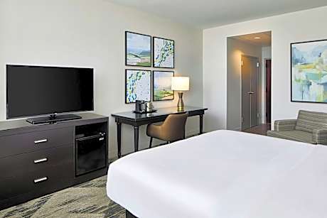 Room, 1 King Bed (Mobility Accessible, Roll-In Shower) (1 King Bed)