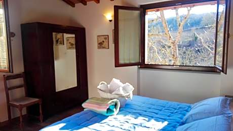 Apartment - Split Level