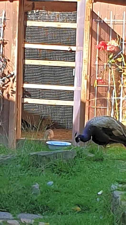 Ferienhaus Nr. 60 Im Ferienpark am Twistesee