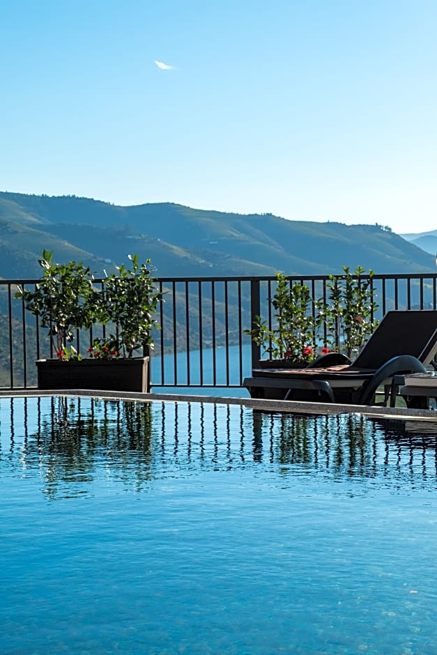 Vila Gale Douro Vineyards