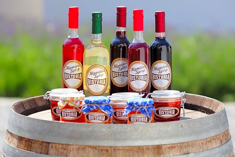 Hotel Historia Malomkert