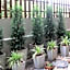 Chompu Nakarin Apartment