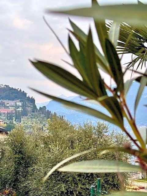 Hotel Il Perlo