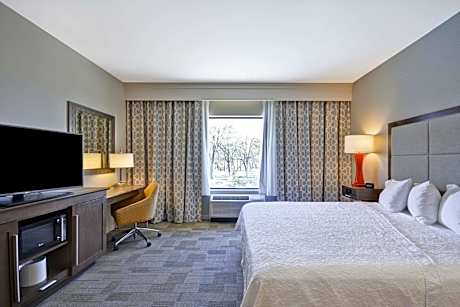 King Room with Sofa Bed - Mobility Access/Non-Smoking