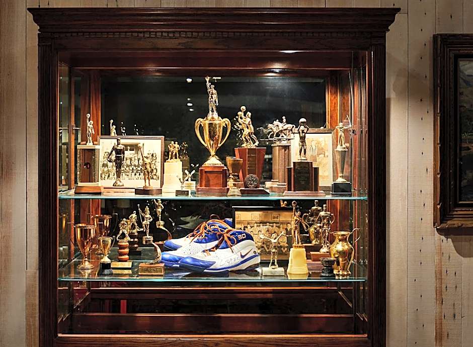 Graduate by Hilton Storrs