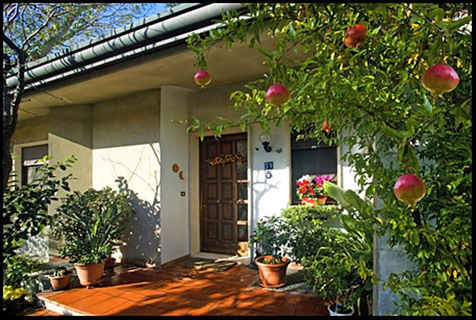B&B Oasi di Venezia