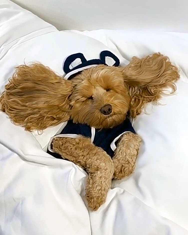 Bannisters Pavilion Mollymook