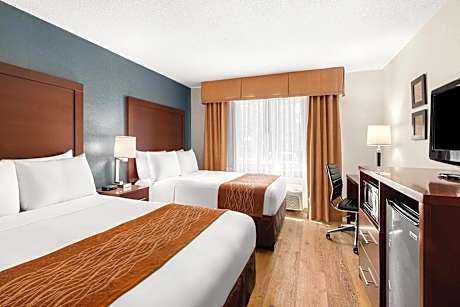 Standard Double Room with Two Double Beds