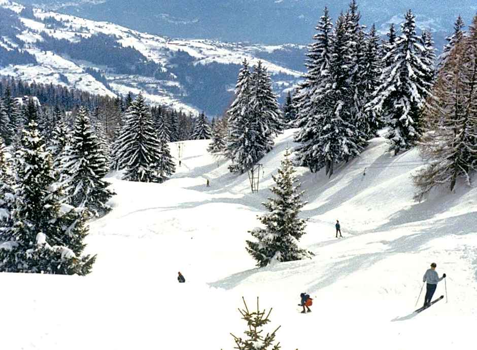 Woodland Village Anzère