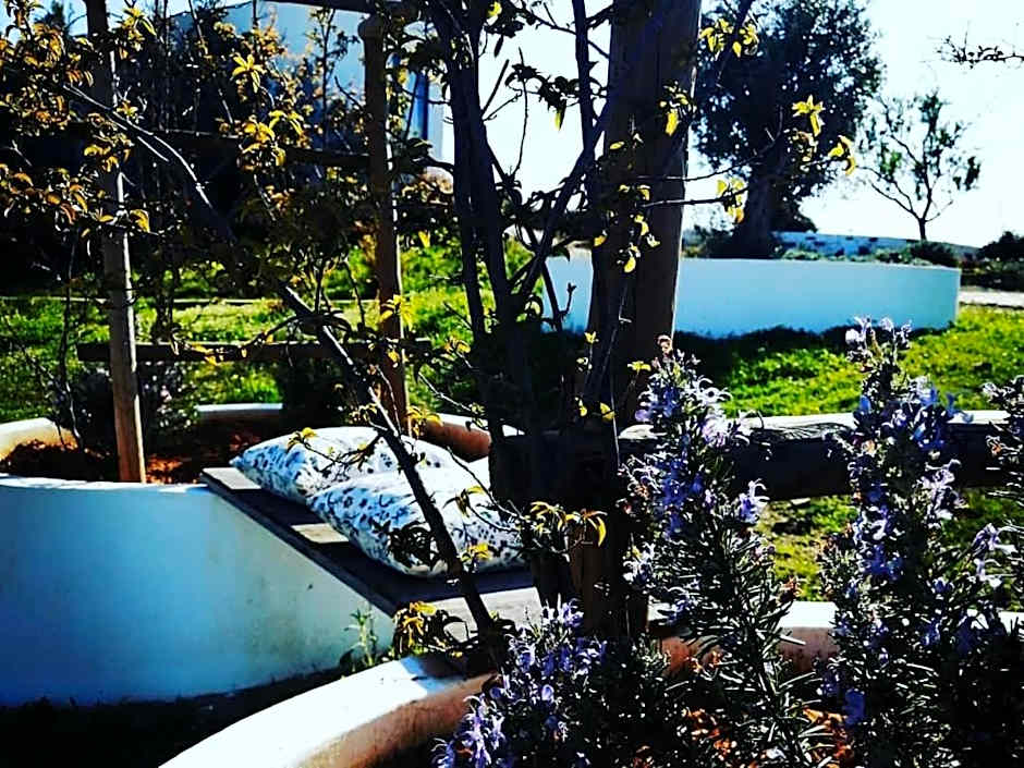 Monte Do Malhao - Art, Eco & Spa