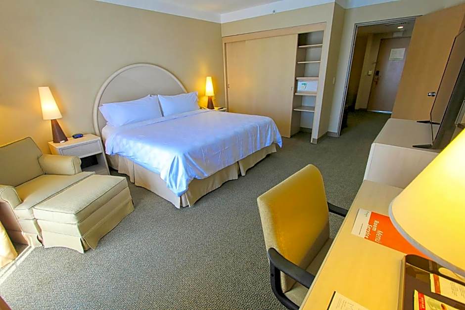Holiday Inn Leon-Convention Center By IHG
