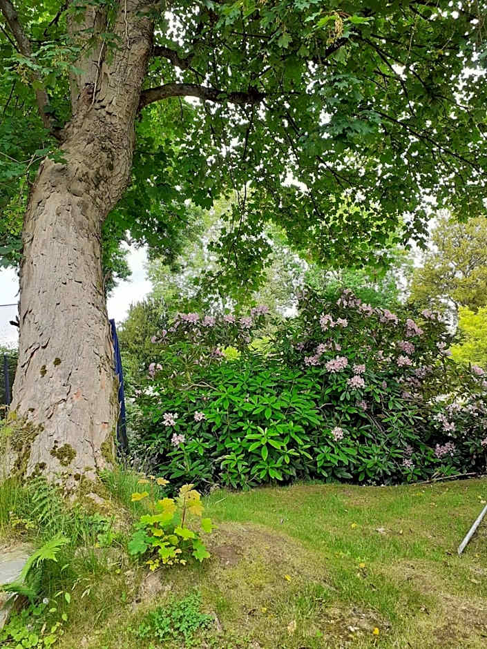 Manoir de l'As de Trèfle