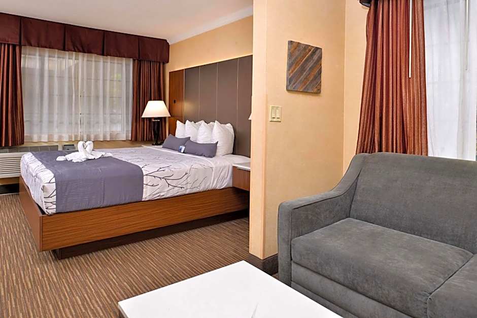 Best Western Hollywood Plaza Inn-Hollywood Walk of Fame Hotel-LA
