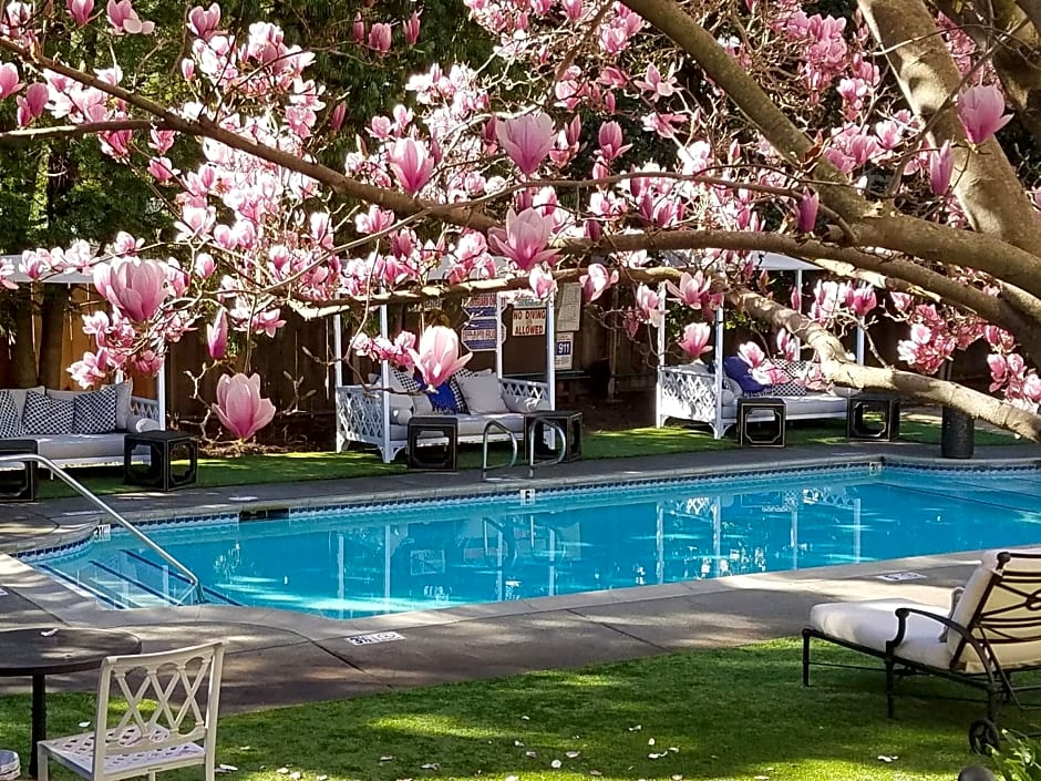 The White House Napa Valley