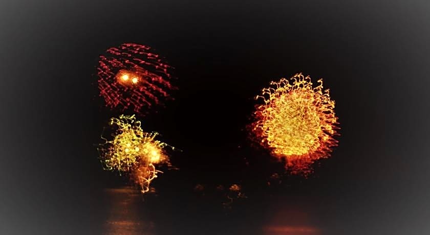 Le Cactus Guest House