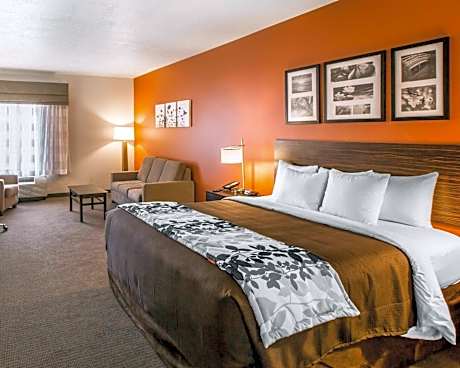 Junior Suite with King Bed - Non Smoking