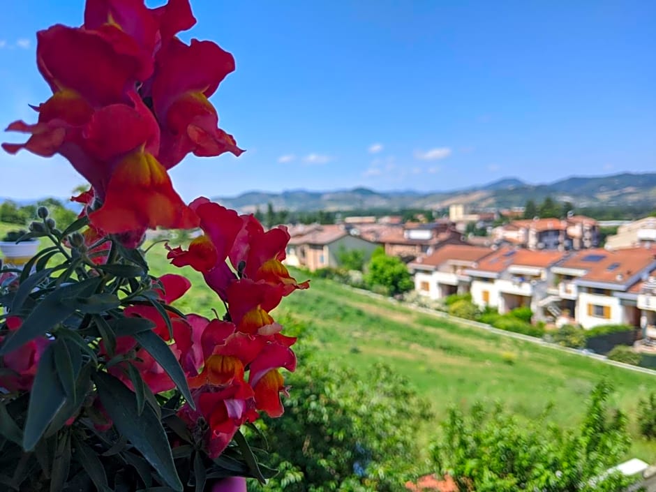 Nel giardino di Oz