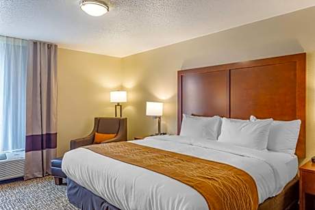 Comfort Inn DeKalb - University Area