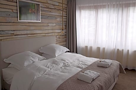 Double or Twin Room with City View