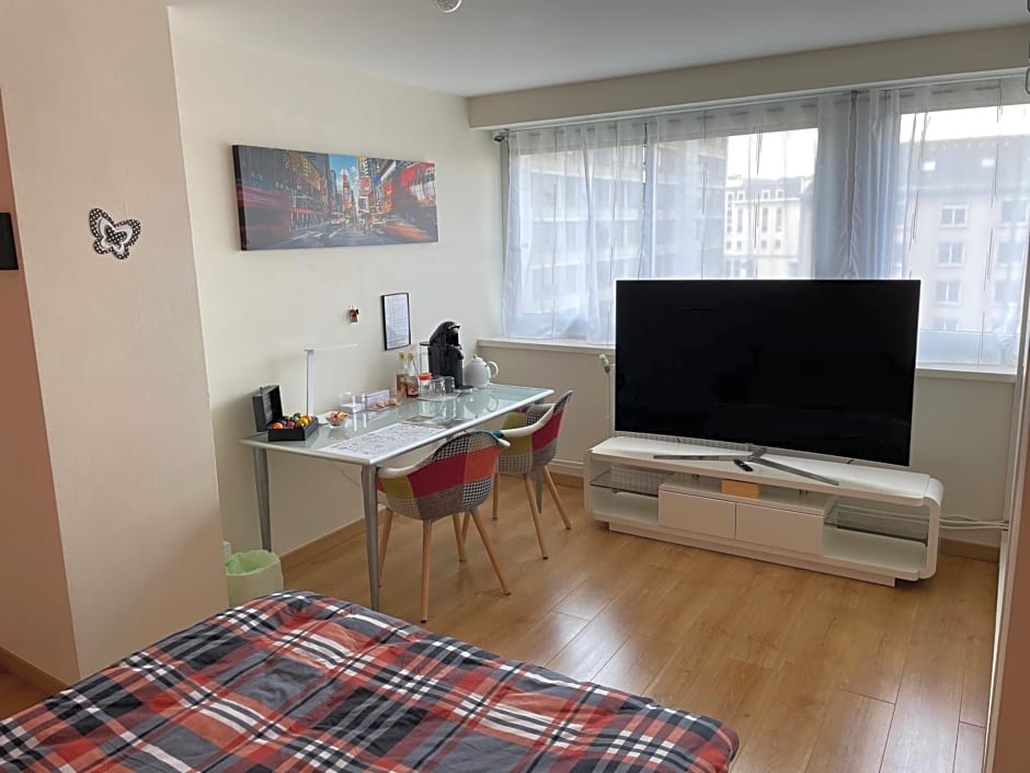 Chambre d'hôtes Au Coeur De NancyB&B