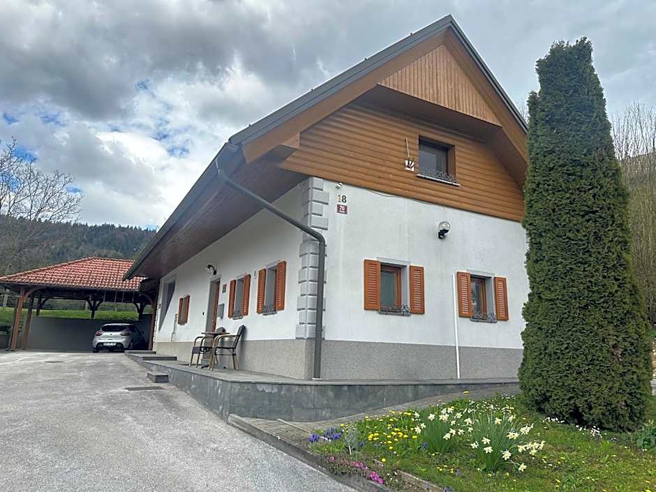 Domačija Vodnik & Apartments