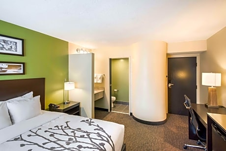 1 Queen Bed, Nonsmoking
