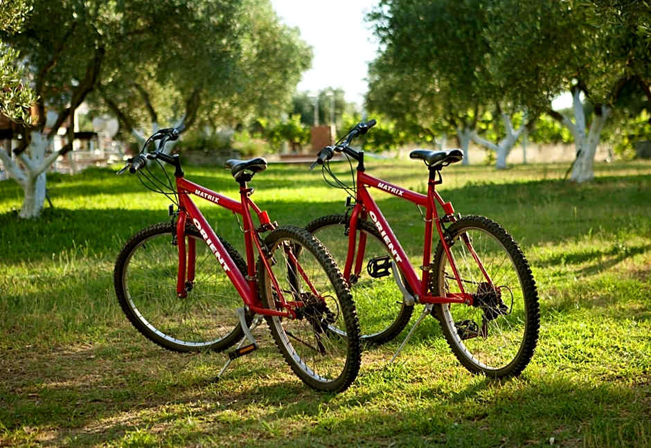 Haus Risos Next Generation