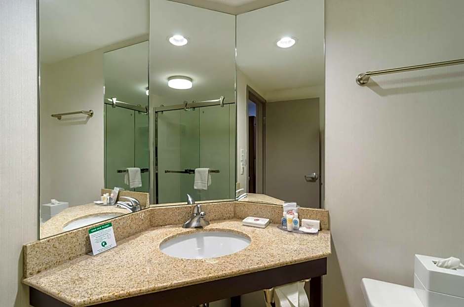 Comfort Inn Raleigh Midtown