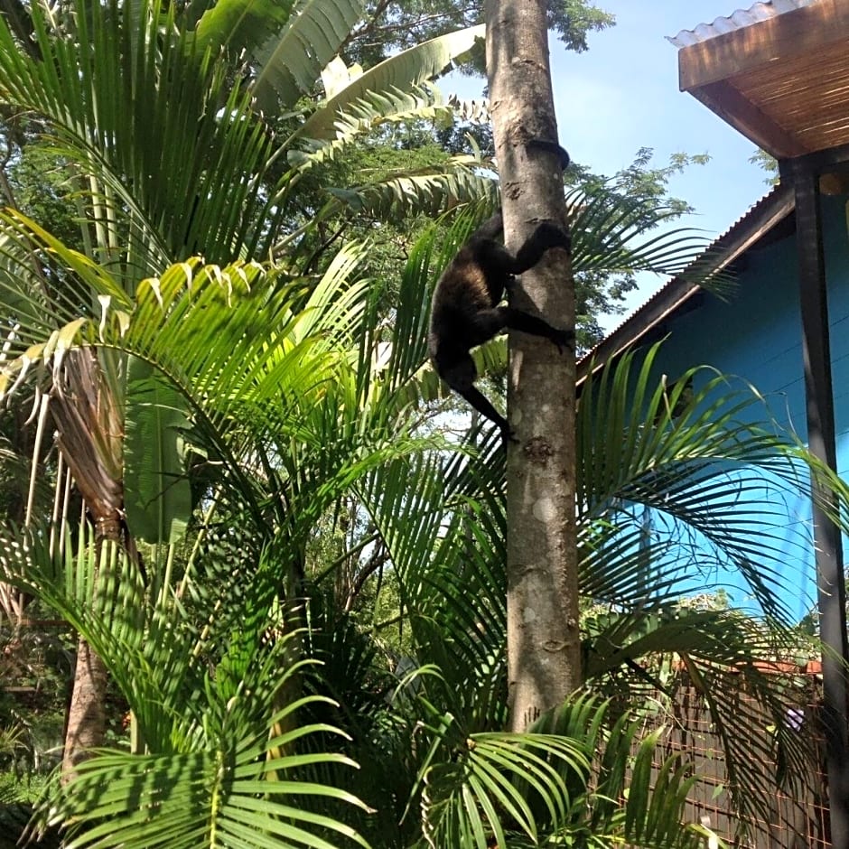 Hotel Tamarindo Village