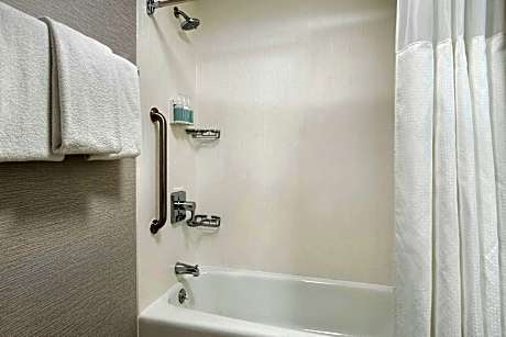 Suite, 1 King Bed with Sofa bed (1 King Bed and 1 Double Sofa Bed)