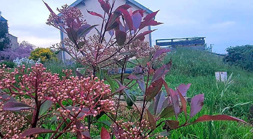 B&B Chambre Chante Cristal