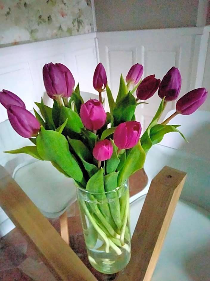 Bed&Breakfast Villa Camilla