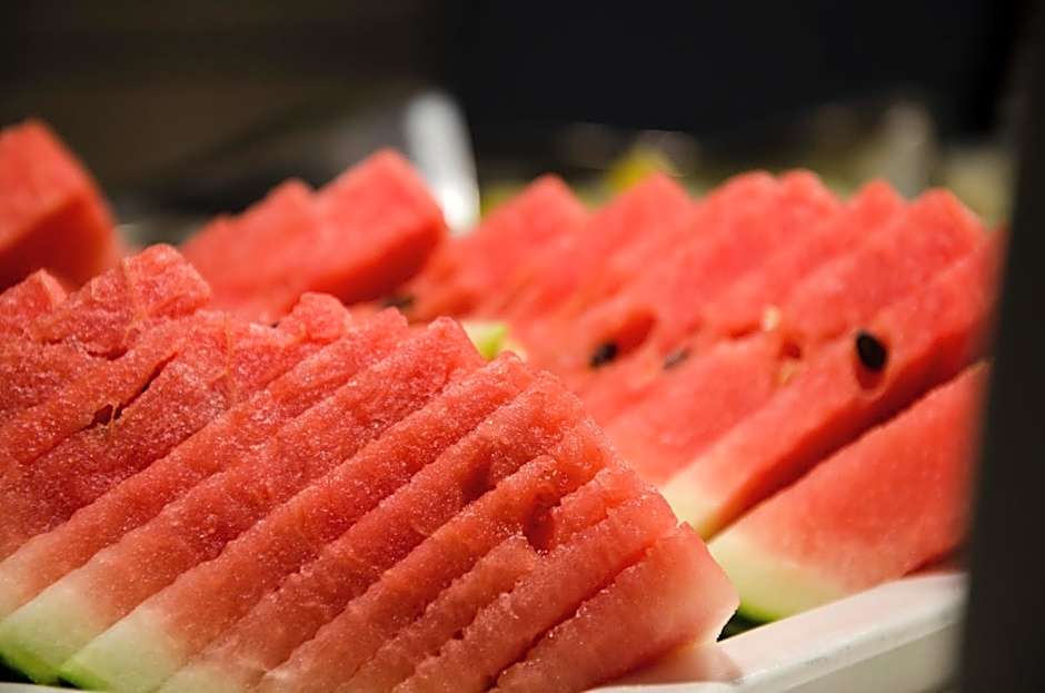 Suites Plaza Hotel & Wellness