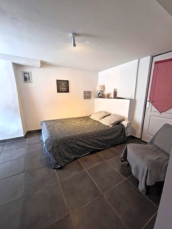 Le camélia de la mazarié