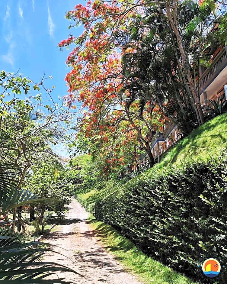 Pousada Ponta de Areia