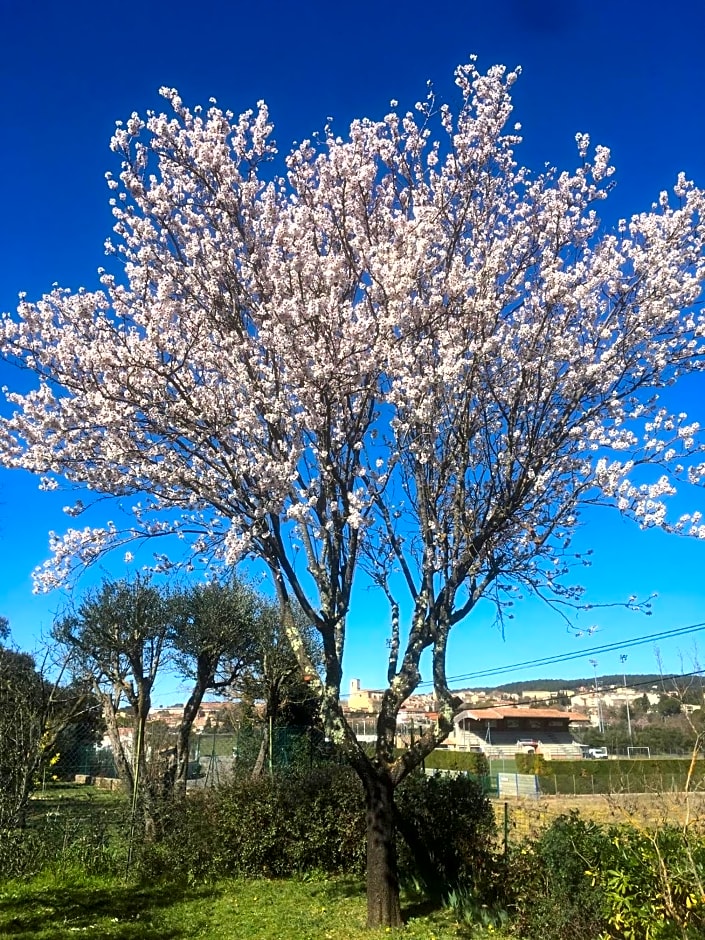 Le Petit Paradis - La Provençale