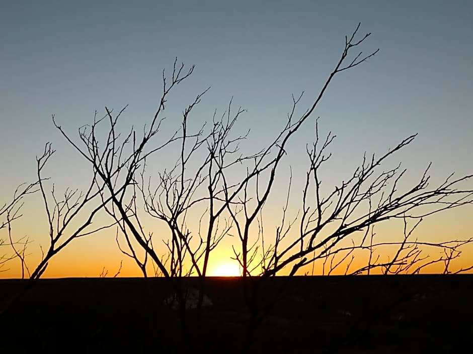 Opal Inn Hotel, Motel, Caravan Park