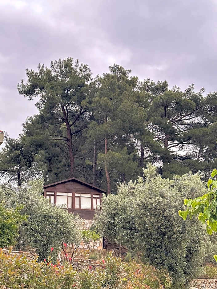 EPHESUS RETREAT