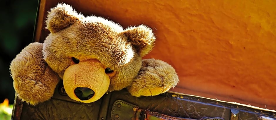 Teddybärenhotel