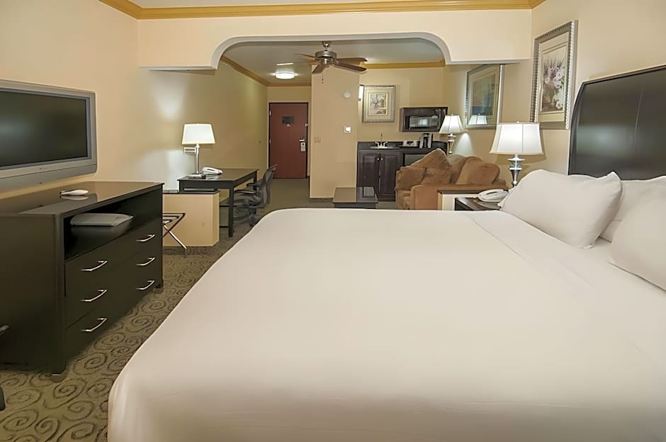 Holiday Inn Express Hotel & Suites Bakersfield Central By IHG