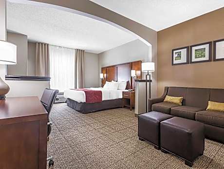 1 King Bed, Suite, Nonsmoking