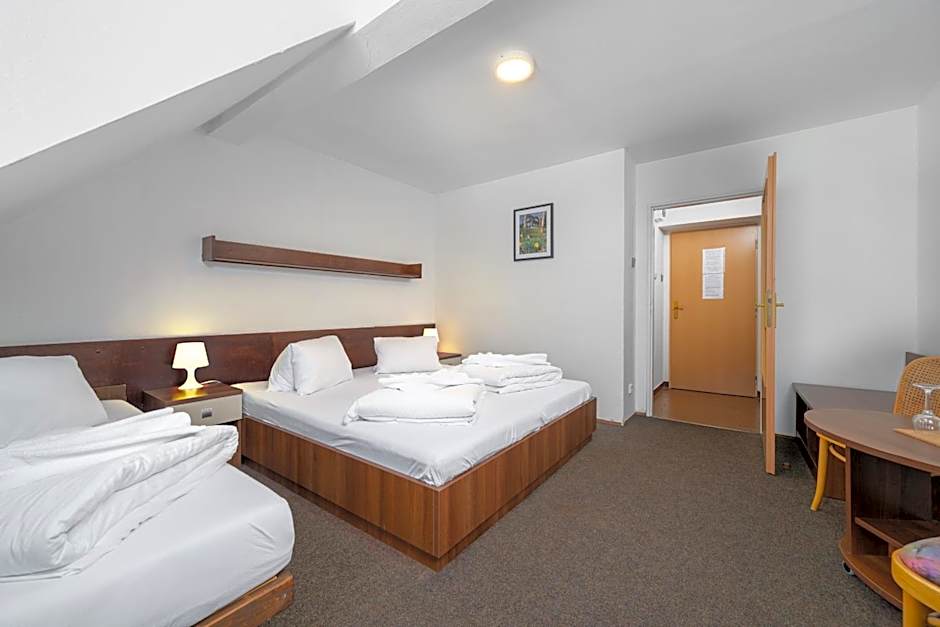 Horský Hotel Jelínek