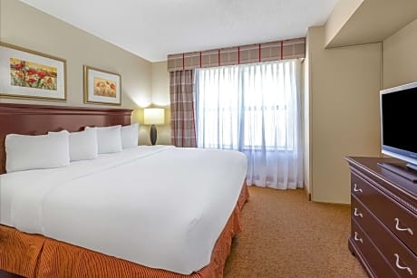 1 King Bed One Bedroom Suite Non-Smoking