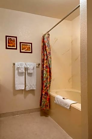 Standard Kitchenette Suite