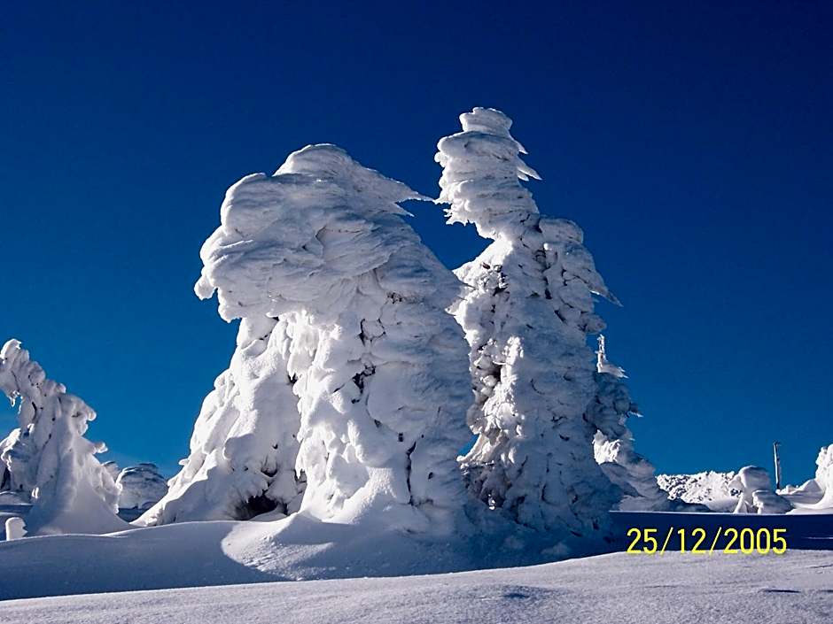 Hotel Brockenstübchen