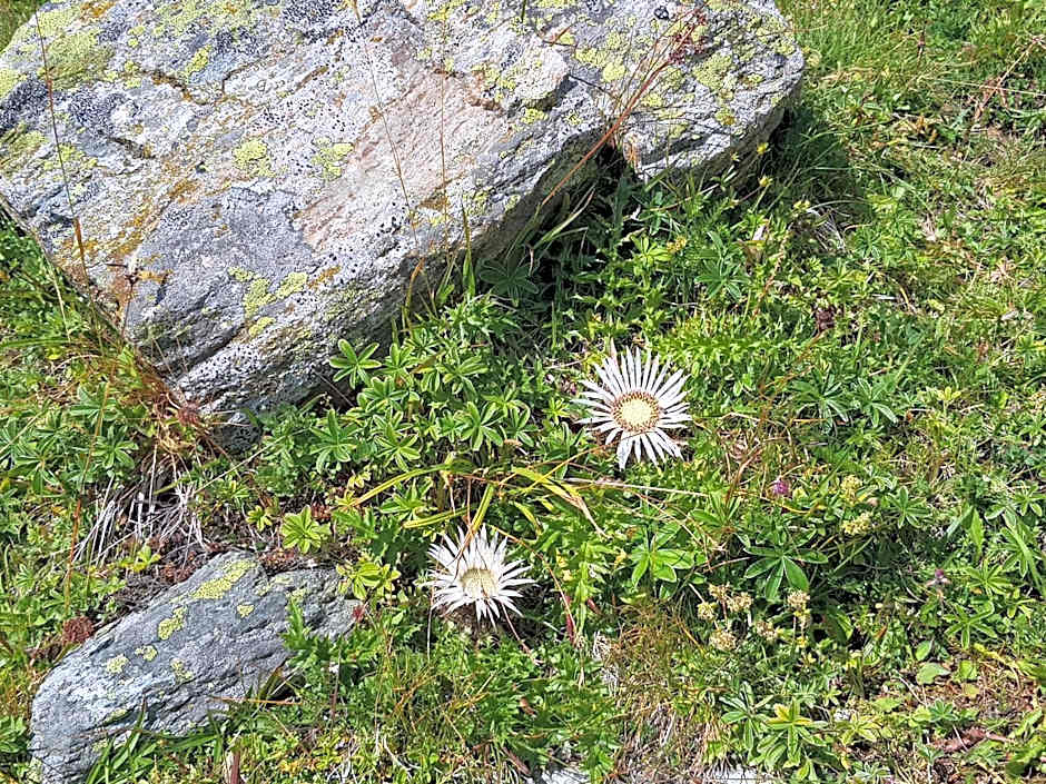 Boutique-Hotel Vincenz