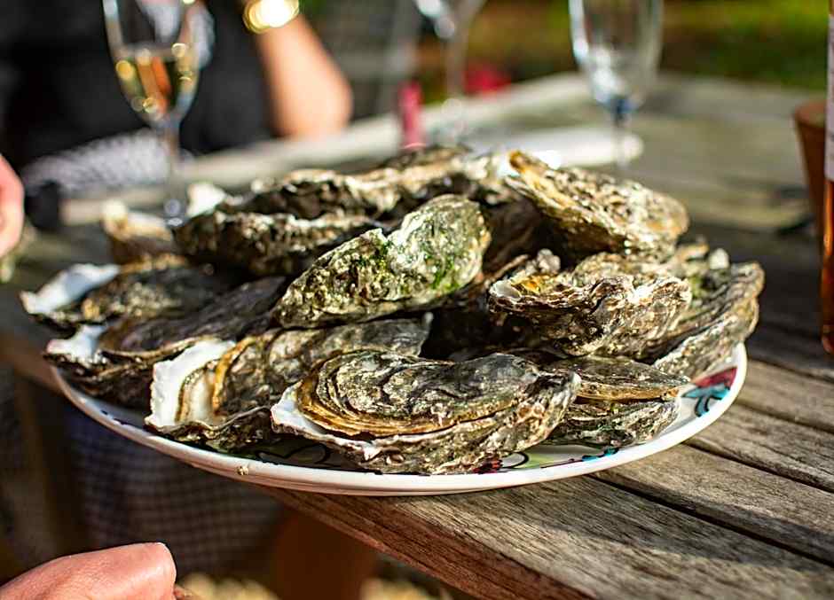 Vandenbeld Wines B&B